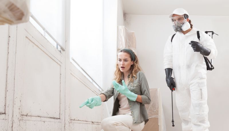 Basement Mold Remediation in Essex County, NJ