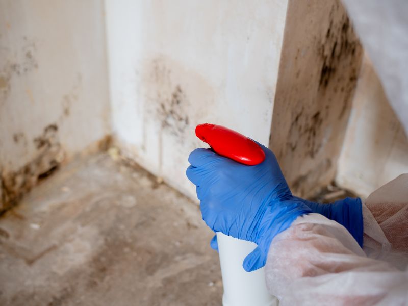 Basement Mold Remediation in Fort Lauderdale, FL
