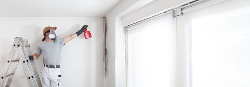 Garage Mold Remediation in Bergen County, NJ