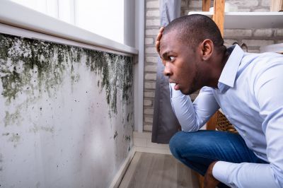 Mold Control in Pompano Beach, FL