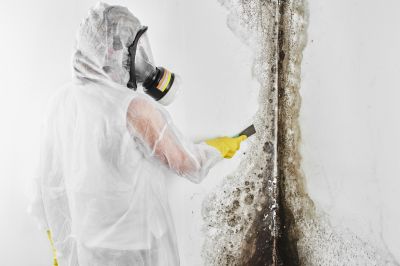 Mold Inspection And Removal in Boynton Beach, FL