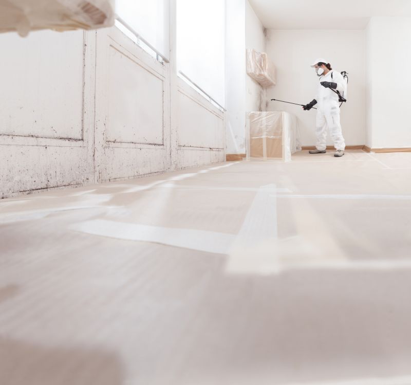 Attic Mold Remediation in Boca Raton, FL