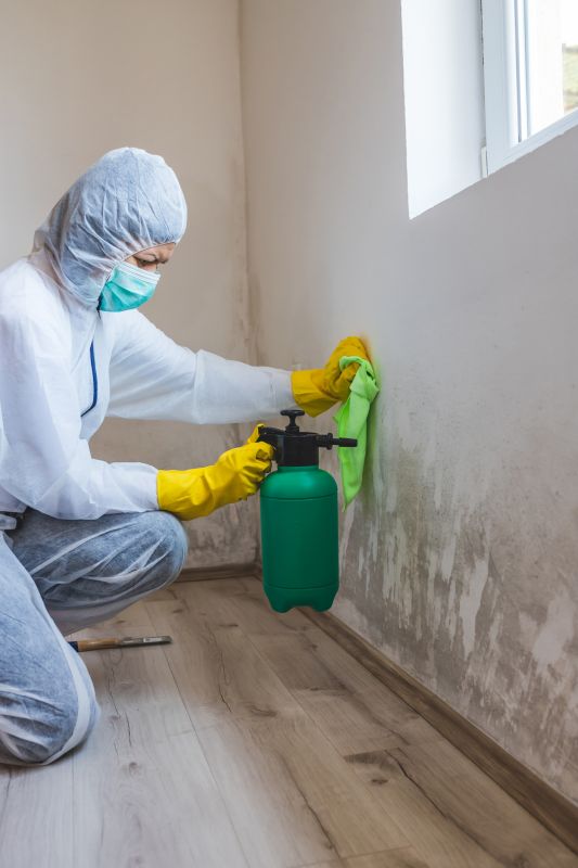 Attic Mold Remediation in Bergen County, NJ