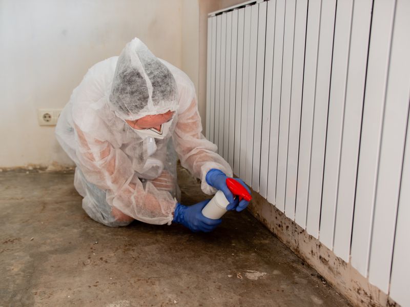 Attic Mold Remediation in Fort Worth, TX