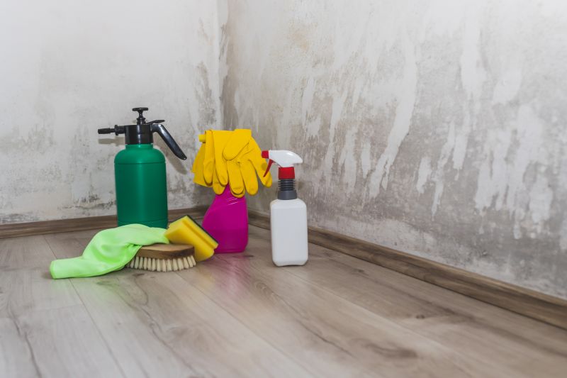 Basement Mold Remediation in Fort Worth, TX