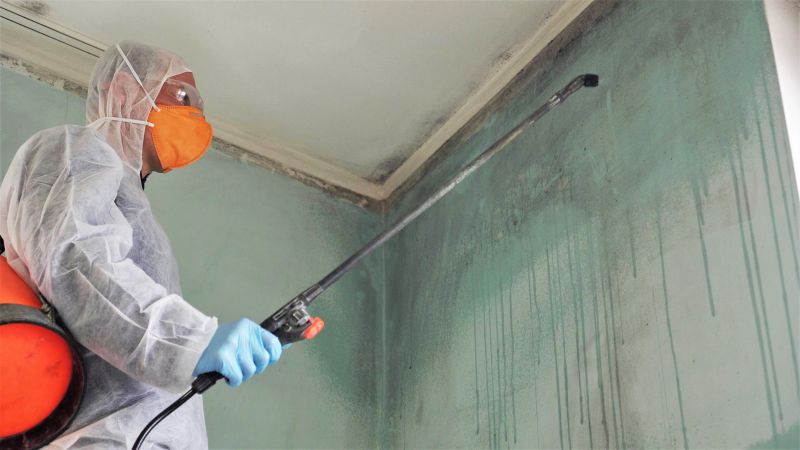 Crawlspace Mold Remediation in Jupiter, FL